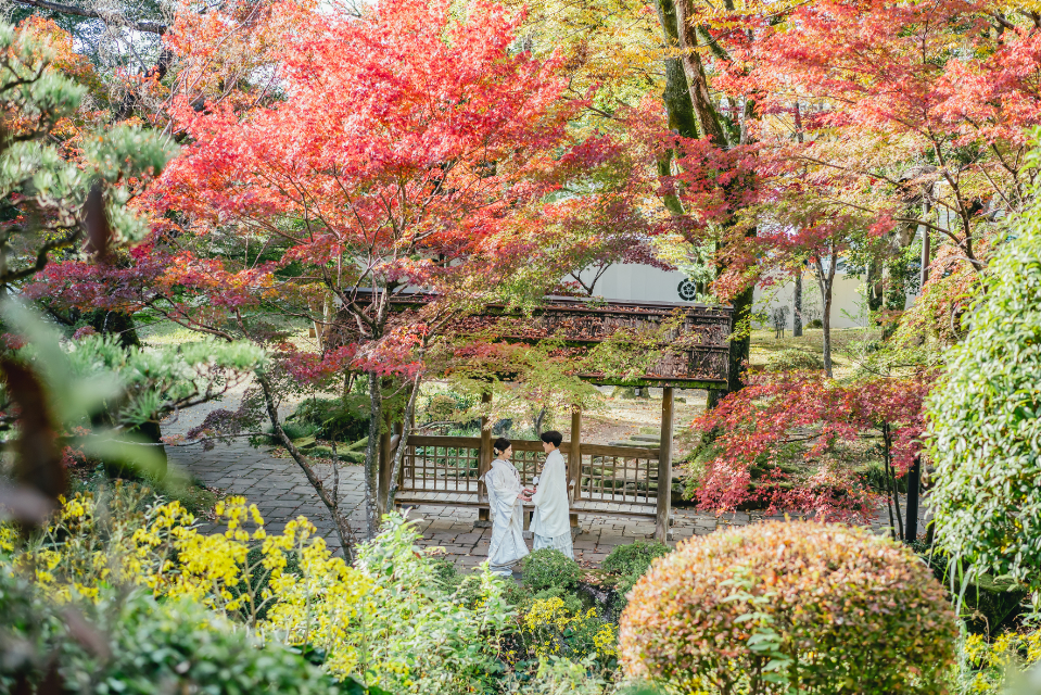 前撮り岐阜、岐阜フォトウエディング紅葉フォトならラフフォトへ