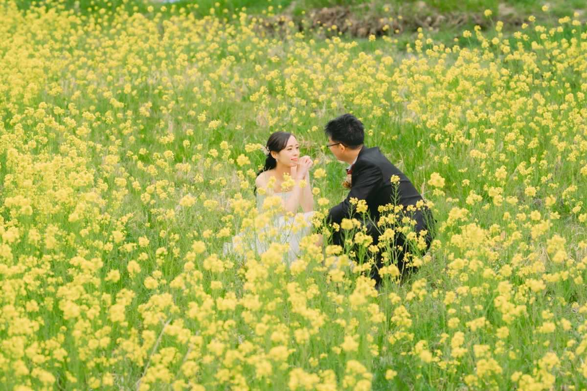 前撮り岐阜、岐阜フォトウエディング、長良川前撮りならラフフォトへ