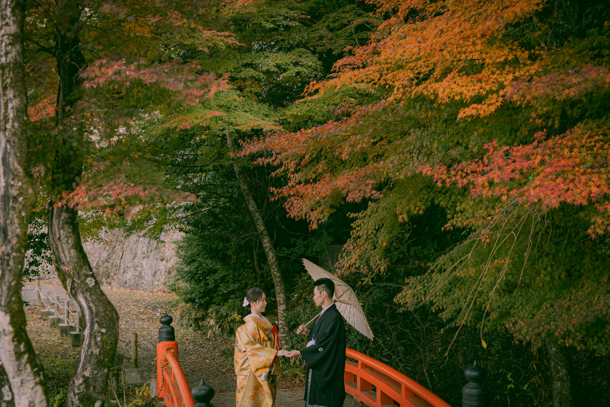 前撮り岐阜、岐阜フォトウエディング紅葉フォトならラフフォトへ